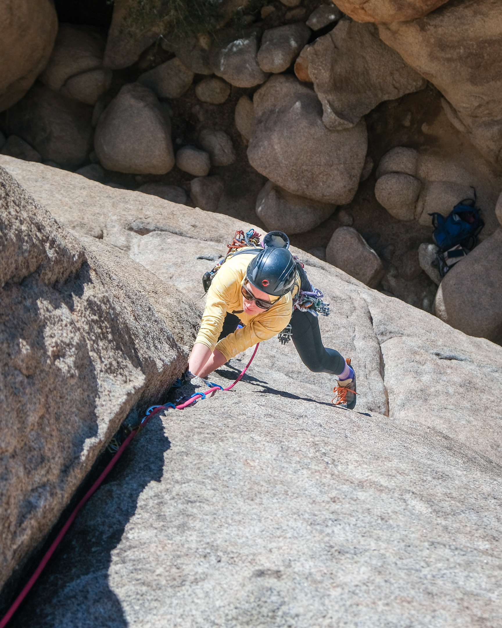 joshua-tree-jan-24-nwm-07.jpg?