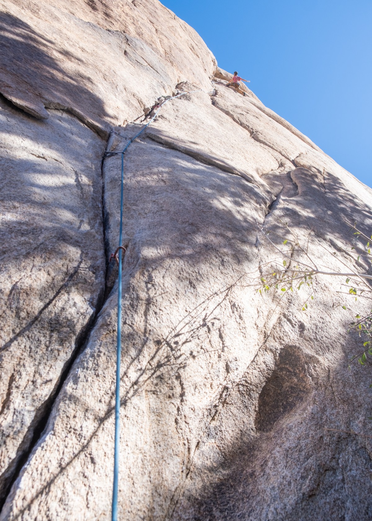 Five Months in Paradise – Joshua Tree 2025 Recap (Run For Your Life, Falcon & the Snowman, Illusion Dweller, and&nbsp;more)